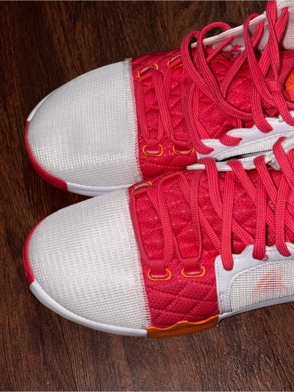Nike LeBron